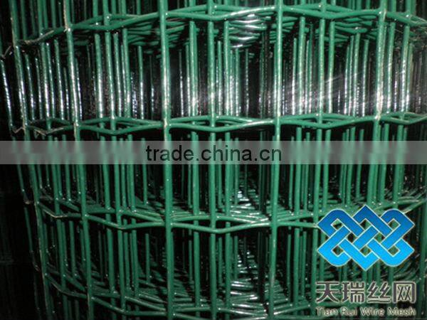 PVC Coated Holland Wire Mesh Fence Manufacturer&Exporter