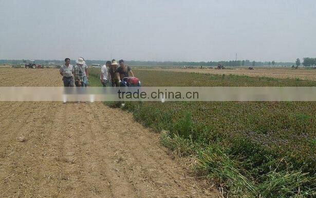 Mini tractor reaper for wheat