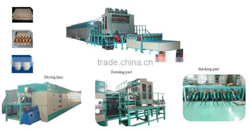 automatic paper pulp egg tray making machine price