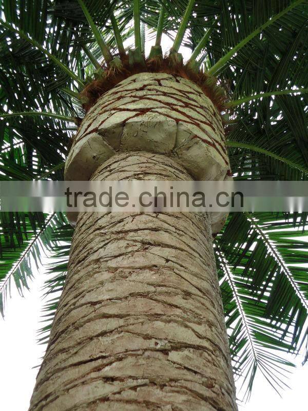 APM012 GNW 20ft coconut tree artificial plastic palm tree for Park Landscaping Decoration outdoor use