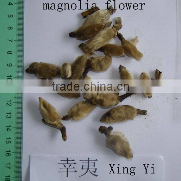 2016 new bai shao slice/white paeony root slice decoction pieces