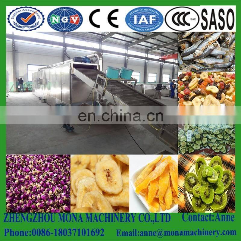 Automatic Gas/Multi-layer Conveyor Mesh Belt Dryer/tunnel food drying oven /machine for fruit and vegetable dry