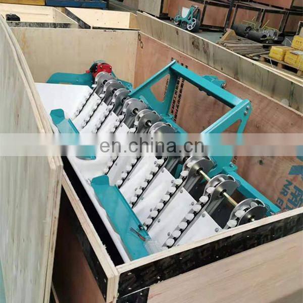 10 row garlic planting sowing machine garlic planter