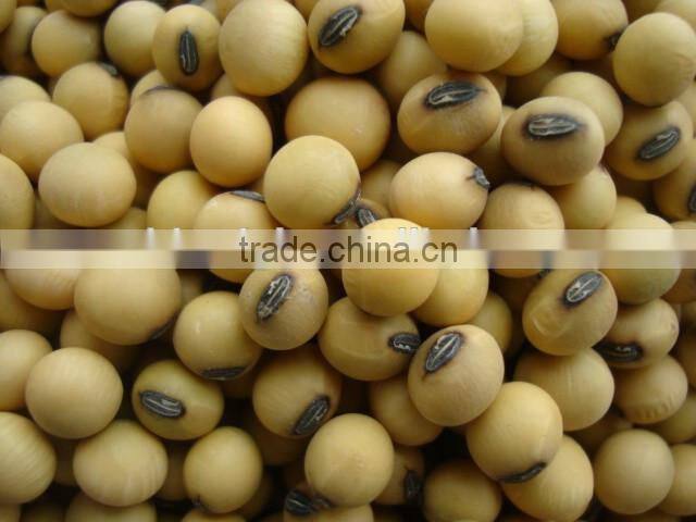 Mini 10 Head Multihead Packaging Scale for Food Industry