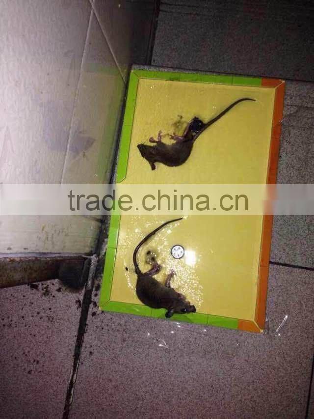 THE TOP SALES RAT GLUE TRAP