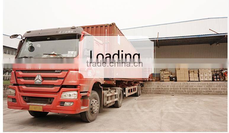 BSGE6500 Transfomers Chongqing China Aerobs Protable 5KV Recoil Hand Gasoline Generator for Choice