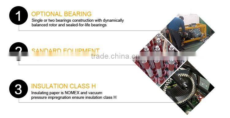 High Quality Low Speed Dynamo Alternator Watt