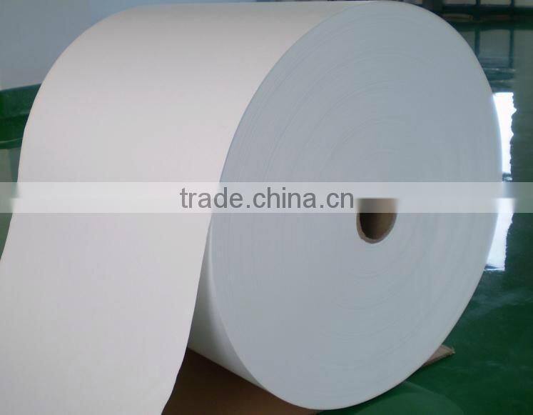 Polyester Needle Felt for Dust Collection