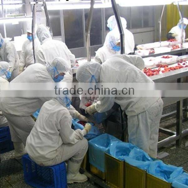 Frozen Whole/dice/slice Strawberry