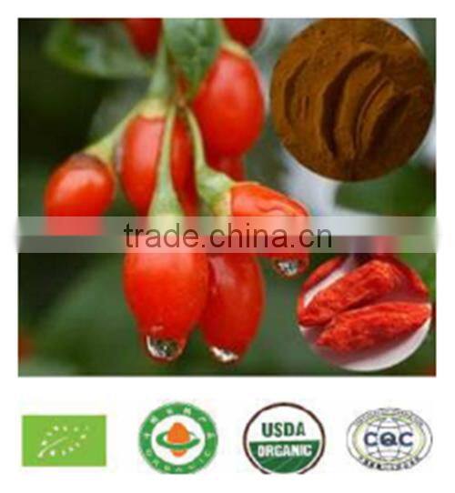 wolfberry fruit extract/ Goqi