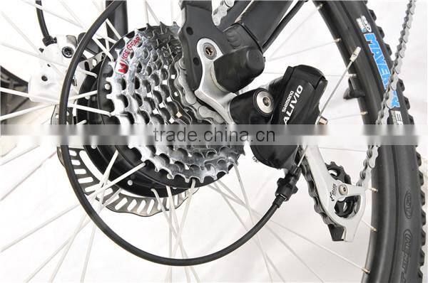 Mountain electric bike
