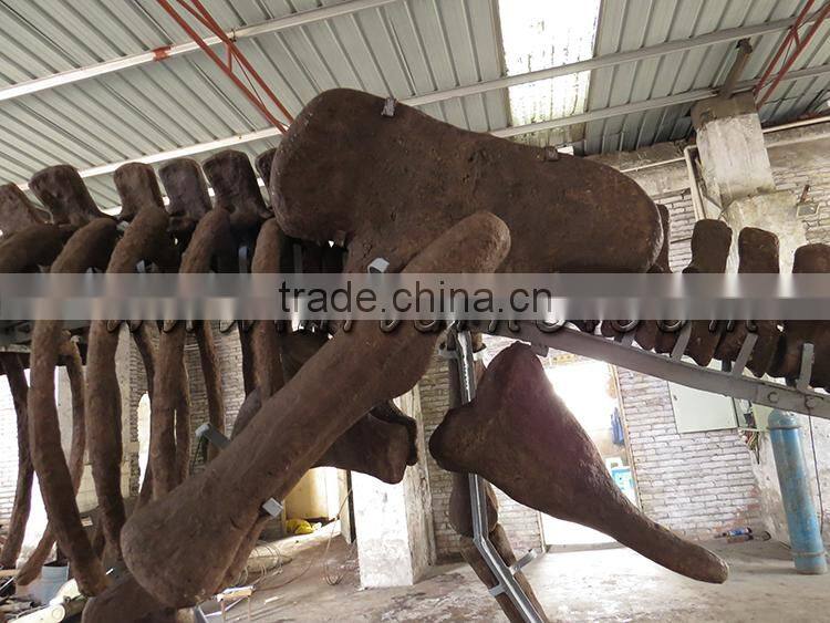 HLT Dinosaur Fossil dinosaur skeleton for sale