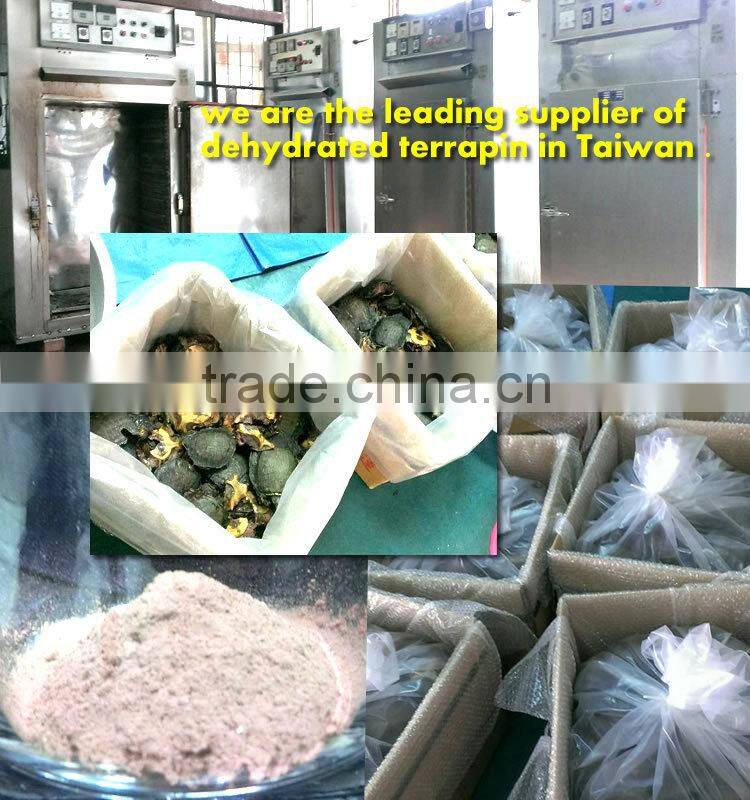 Natural Premium kg ODM OEM Trionyx shell personal care powder