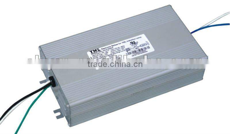 80-200W Street Light Induction Lamp With CE,ROHS