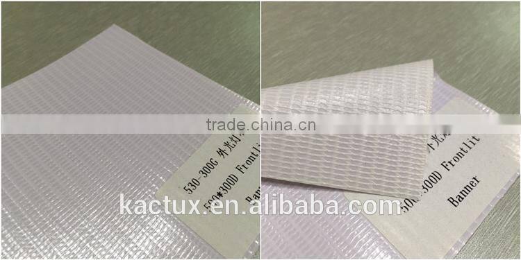 500*300D, 300g Glossy Frontlit PVC Flex Banner roll