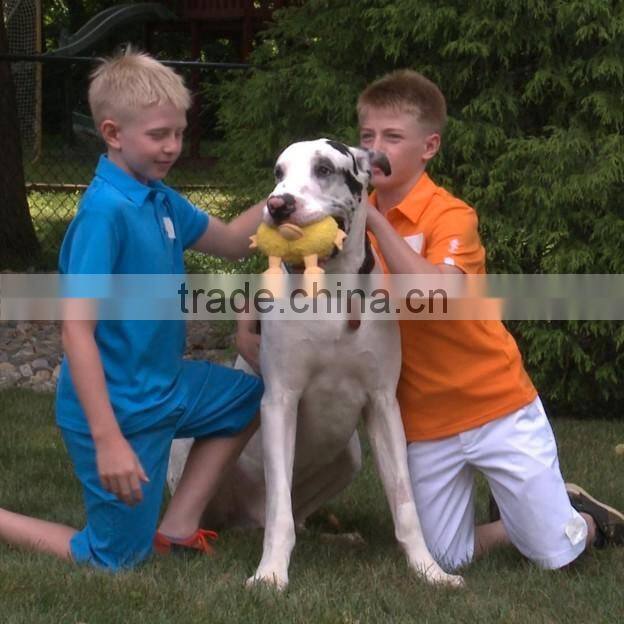 Lovely electronic jumping pet ball