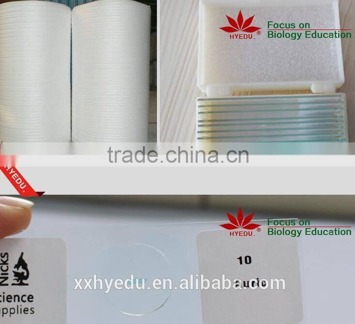 High quality for medical educational supply 2 lumbar vertebrae skeleton model with hernia and prolapsed intervertebral disc