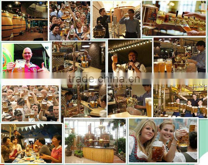 Hot sale 300l high-end skid mounted brewhouse, brew pub equipment CE/ISO 9001:2008