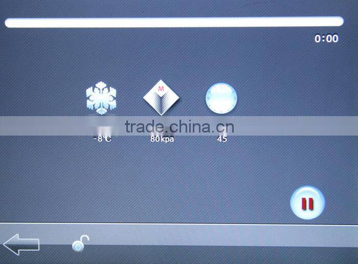 Mini criolipolisis machine feeze fat liposuction equipment with great price