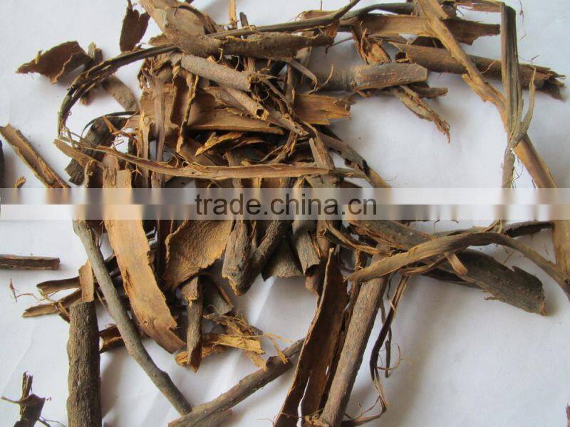 rou gui broken split cassia tube cassia b grade