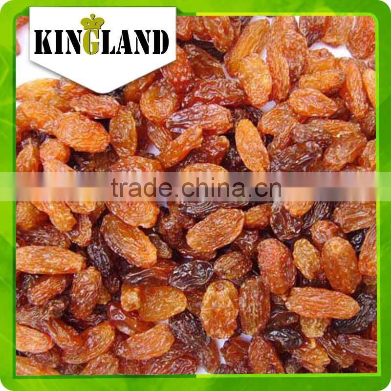 Best Common Cultivation Type Top sale AAA Sultana Raisin price ,Xinjiang