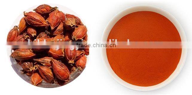 High quality natural gardenia yellow gardenia powder