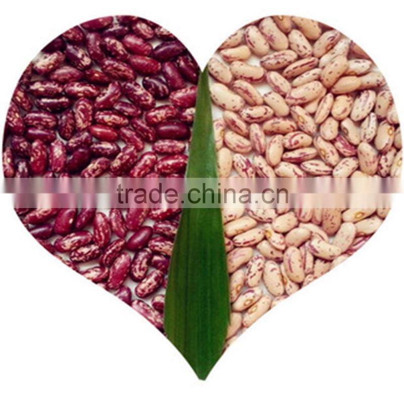 JSX peeled sugar beans export food grade wholesale price best beans