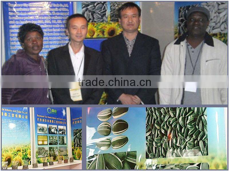 Promotion :Round Type Sunflower Seed Top Quality 1121,909 low price