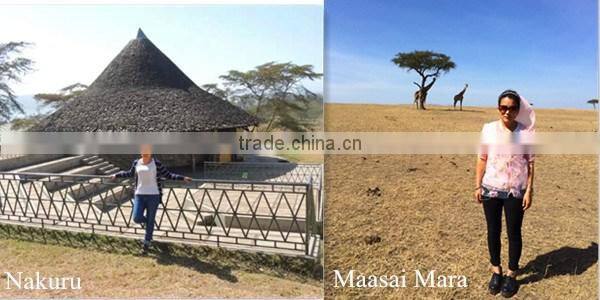 Kenya Nairobi Warehouse 120 160 and 256 birds Chicken Layer Cage