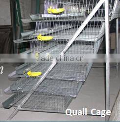 Canton Fair chicken layer cage and poultry equipment supplier manufacturer (Guangzhou Factory)