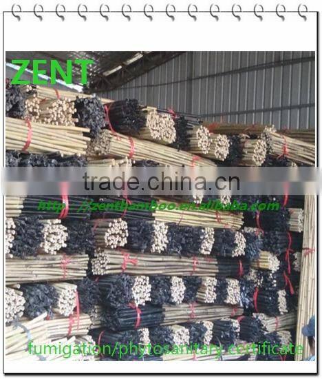 ZENT-14 plastic coated bamboo pole