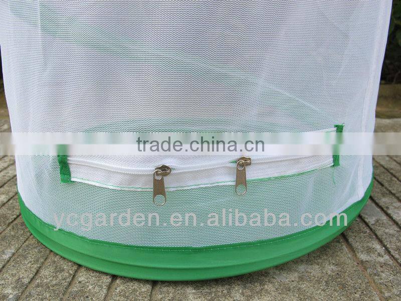 mesh cage for observing insects