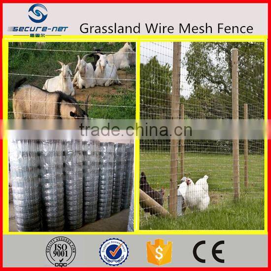 Best price automatic grassland fence making machine(manufacturer)
