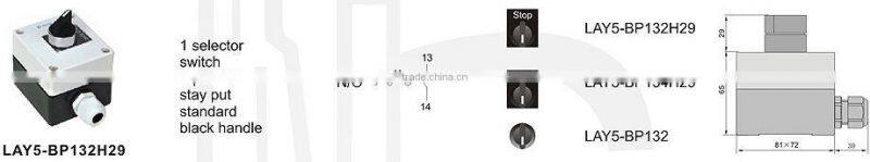 LAY5-BP132H29 1 selector switch 2 position stay put standard black handle with control box