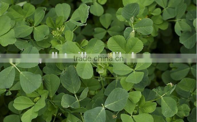 CSPM 2016 new hot sale alfalfa pellet making machine for sale