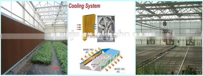 Auto control ventilation and irrigation system greenhouse