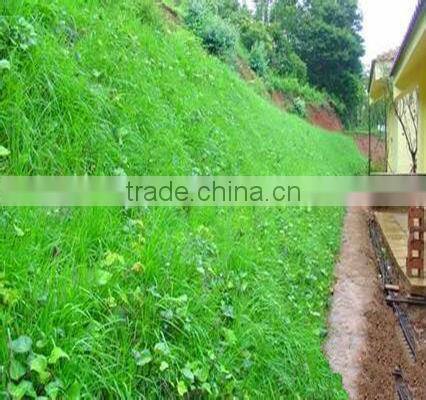 non woven bags for afforestation of city