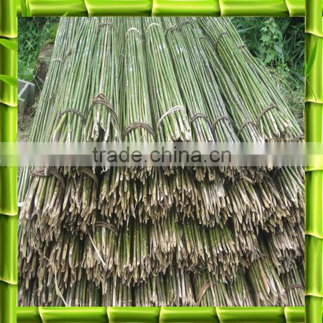 Bamboo poles/bamboo canes from chinese factory