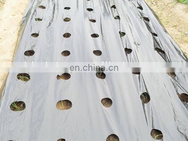 PE agricultural black and silver mulch film