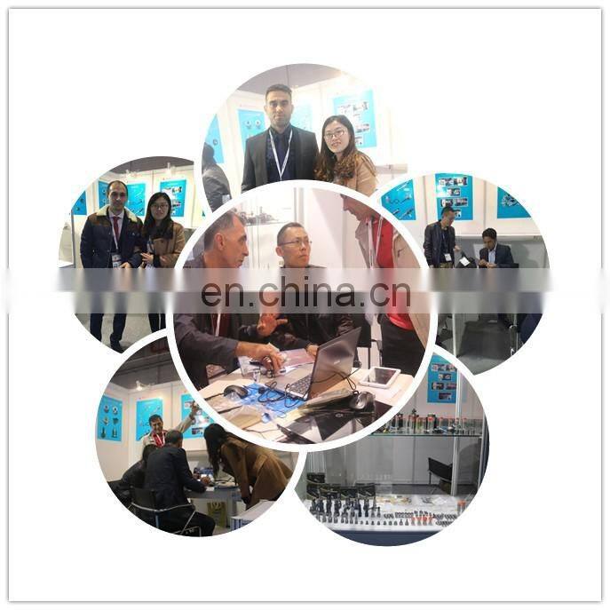 fuel pump plunger element 2418455129 2455129