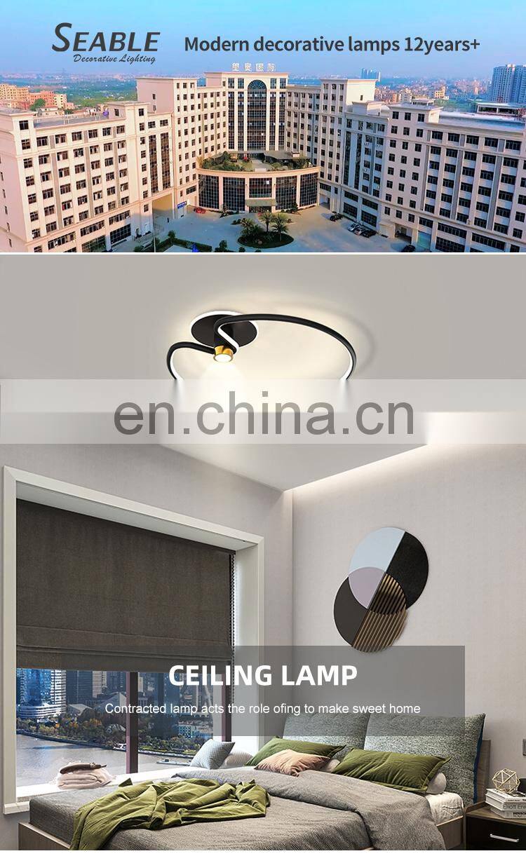 Unique Style Fashion Decoration Home Cafe Shop Aluminum Black Modern LED Indoor Ceiling Lamp