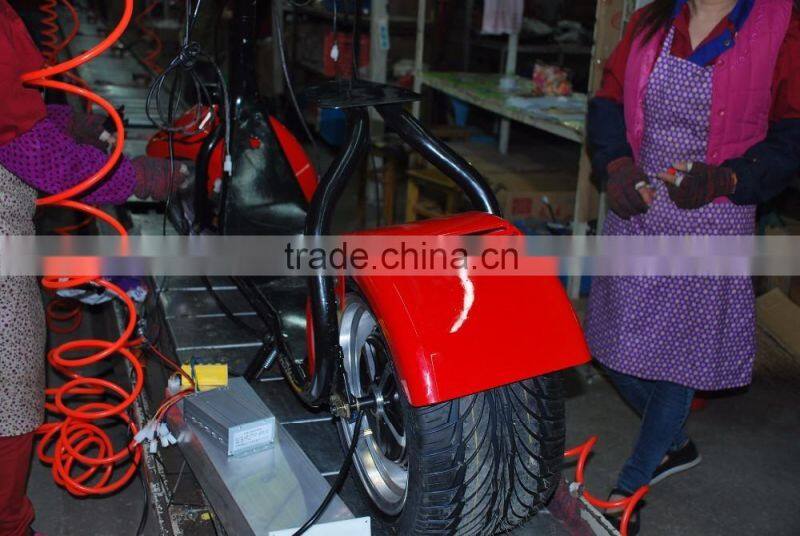 2016 Popular City Scooter 800W Two Wheels Electric Citycoco Self Balancing Motorcycle With Hydraulic Brake Function