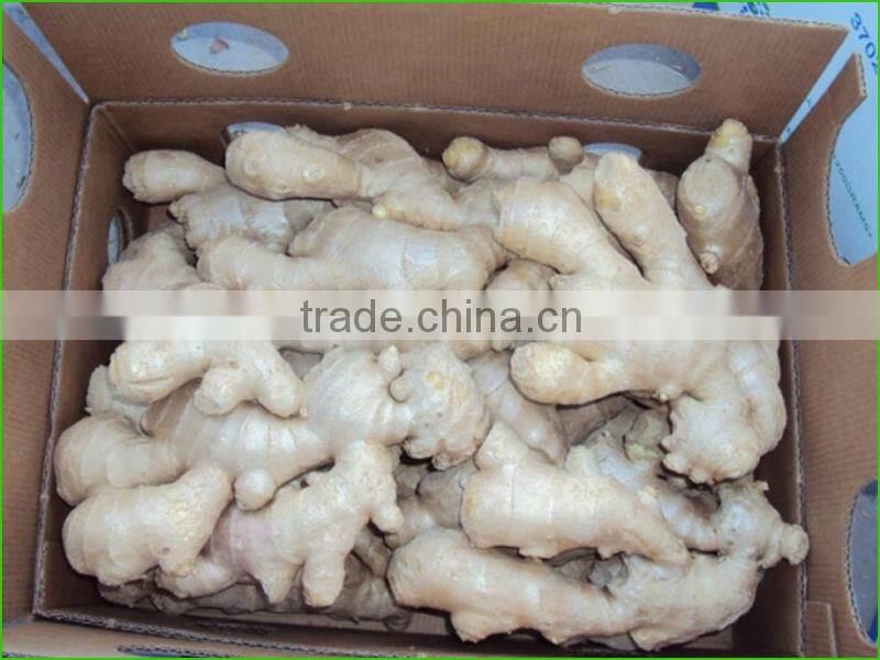 2016 New Fresh Ginger For Sale