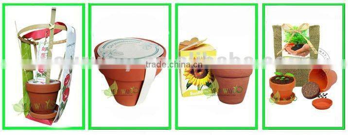 Mini Pyramid Garden, Flower Garden,Sunflower