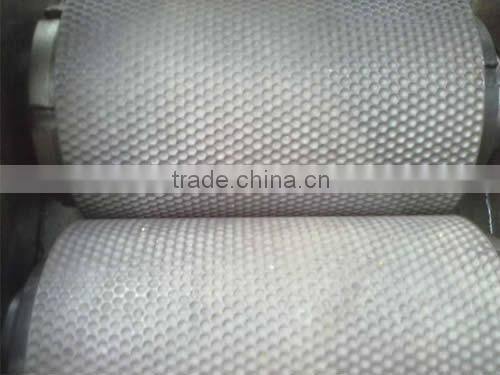 New Type wet processing squeezing granulator