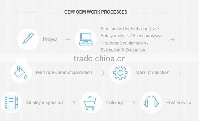 Cam buckle strap/lashing strap 1" X 12'