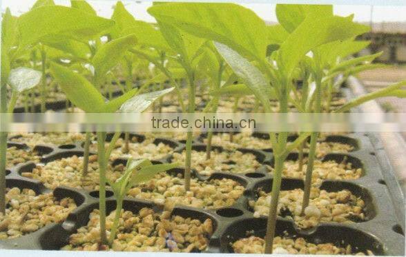 105 holes Poly Styrene plug tray for nursery