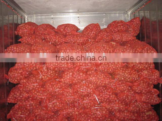 2015 100% Fresh shallot onion in China