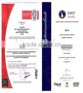 theme park equipment pirate ship toy names pirate boat for sale