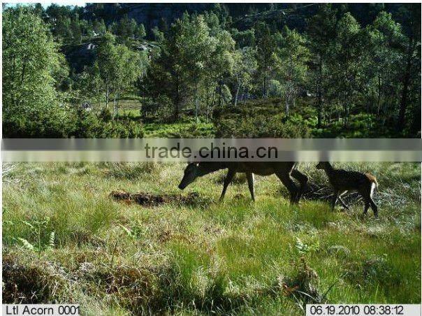 Hot!!Scoutguard Hunting Camera with MMS Function KO-HC01